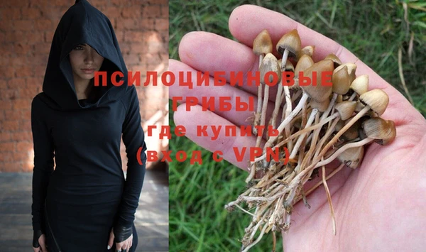 синтетический гашиш Алексин